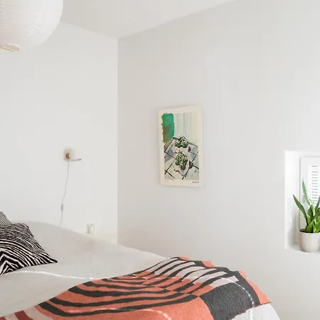 Modern - West Harbour *